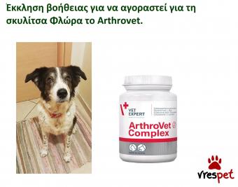 Ράτσα: Άλλη Ράτσα | Ηλικία: 5+ | Φύλο: Θηλυκό | Αρ. Microchip: 981212112121212121 | Περιοχή: Αττική